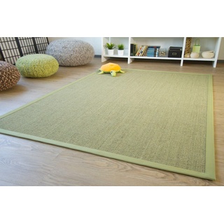 Steffensmeier Sisal Teppich Brazil mit Bordüre Farbe grün Premium Qualität 100% Sisal, Größe: 300x300 cm