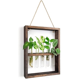 Fxndknjks Hängende Pflanzen Reagenzglas Blumenknospe Glas Terrarium Holzrahmen Garten