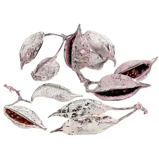 Trockenblume Brachyciton Brombeer Gefrostet Trauergesteck Deko 500g, Florists Products, Höhe 9 cm lila