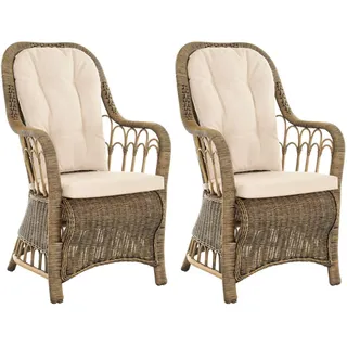 Set/ 2 Rattan Esszimmerstuhl mit Armlehne Hohe Rückenlehne Sessel Vintage Braun