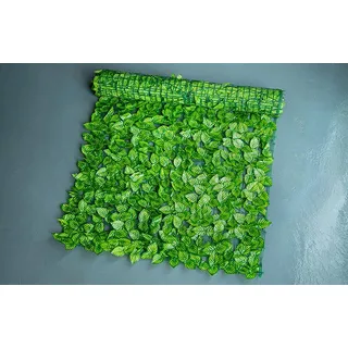 gefleckte efeutute kaufen XXL Efeutute Scindapsus 150cm – Green Me Up main image 1