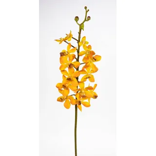 Seidenblumen Roß Orchideenzweig Vanda 70cm orange CG Kunstblumen künstliche Orchidee Vanda Blumen Pflanzen