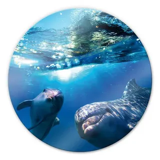 K&L Wall Art Glasbild »Glasbild«, Ø 50 cm, Wand Deko Badezimmer Delfine rund