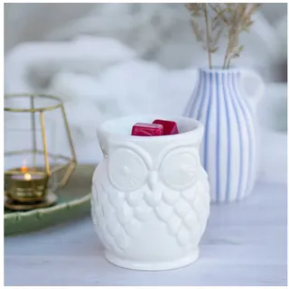 Candle BROTHERS Duftlampe Owl 1 Stück