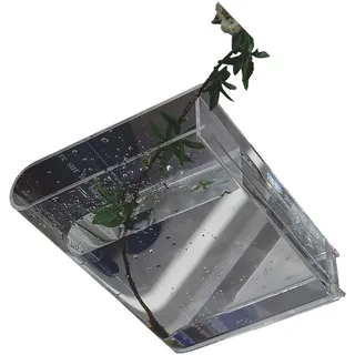 Transparente Buchvase Im Nordischen Stil, Inneneinrichtung, Bücher Fürs Wohnzimmer, Büropräsentation.