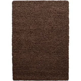 KADIMA DESIGN RHEIN Hochflorteppich 300 x 400 cm Braun