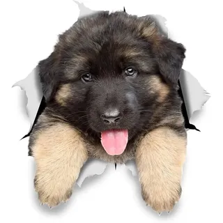 3d-hunde-wandtattoos – 2er-pack – Aufkleber Mit Schäferhundwelpen Für Wände, Kühlschrank, Badezimmer, Wohnzimmer, Auto – 11 X 12 Cm – Crezuo