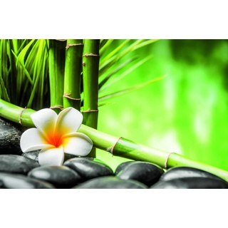 Deco-Canvas Bild - Bambus Zen 116 x 76 cm