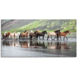 Leinwandbild ARTLAND "Isländische Pferde XIV", beige (farbe bild(er): naturfarben), B:60cm H:30cm, Bilder, Leinwandbild, auf Holzrahmen gespannt