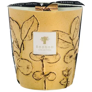 BAOBAB Folia Garrigue Duftkerze 2050 g gelb