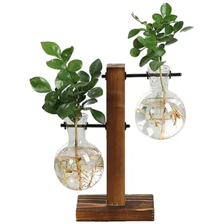 Hydroponik Hängevase Glasvase Blumenvase Tischvase Dekovase Holz Halter Desktop Glas Übertopf Vase Holz Ständer Hydrokultur Planzen