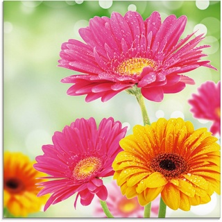 Artland Glasbild »Natürliche Romantik - Gerberas«, Blumen (1 St) bunt