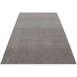 200 x 290 cm beige