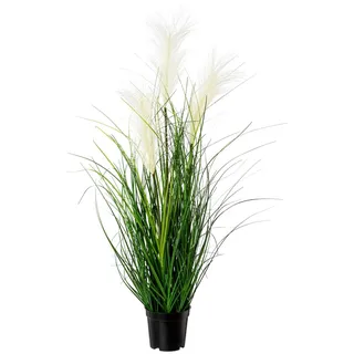 Gasper GASPER, Pampasgras Weiß im schwarzen Topf 76 cm - Kunstpflanzen