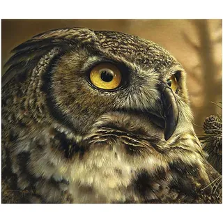 Bimkole DIY 5D Diamond Painting Zubehör Eule, Tierbaum Diamant Malerei Kit Voll Runde Bohrer Malen nach Zahlen Malerei Stickerei Kreuzstich Diamond Dekoration, (30x40 cm)