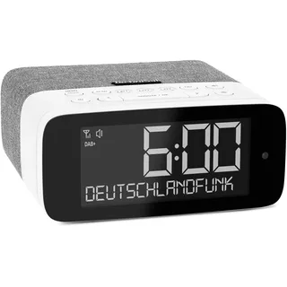 TechniSat DIGITRADIO 52 ASA grau/weiß