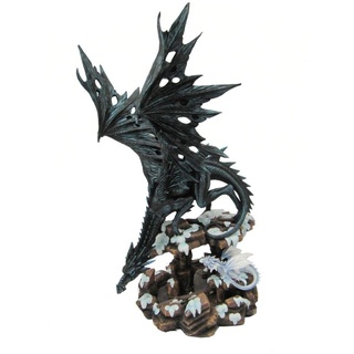 Nemesis Now Figur Dragons Wisdom, 35 cm, Schwarz