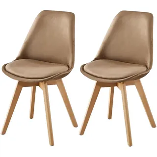 Set Aus Zwei Skandinavischen Fream Stühlen Taupe
