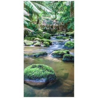 Duschrückwand - Bach im Dschungel, Material:Hartfolie Premium Glanz 0.61 mm, Größe HxB:1-teilig 210x110 cm