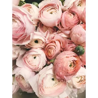 Rosa Blume – 5000-teiliges Holzpuzzle – Schwierigkeit und Herausforderung, großes Puzzle-Spiel, Puzzle-Geschenk