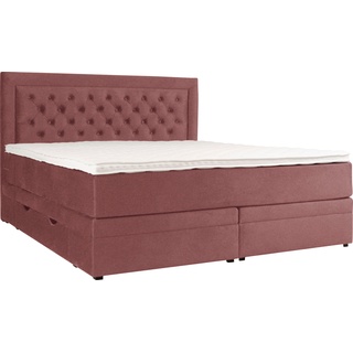 Boxspringbett LEONIQUE "Julien" Komplettbetten Gr. Samtvelours 140x200, Liegefläche B/L: 140 cm x 200 cm, H3, Taschen-Federkernmatratze, lila (maroon) Boxspringbetten ohne Bettkasten mit Taschenfederkernmatratze