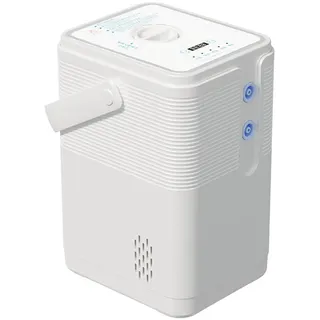 FXNFXLA Kleines Wasserstoff-Inhalationsgerät, 225/300/450 ml/min Dual-Port-Inhalator, 99,99% Reiner Wasserstoffgenerator, PEM-Elektrolyse für Zuhause, Büro, Auto, Reisen 300ml