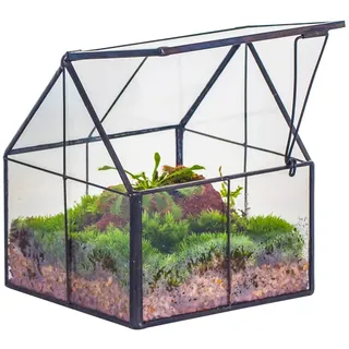 NCYP 10,8x10,8x12,5 cm Geometrisches Mini Pflanzenterrarium aus Glas mit Deckel, Schwarz Übertopf für kleine Sukkulenten Luftpflanzen, Handgefertigt Heimgarten Büro Tischdekoration (Nur Terrarium)