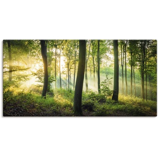 Wandbild ARTLAND "Herbst im Wald II" Bilder Gr. B/H: 100 cm x 50 cm, Leinwandbild Waldbilder Querformat, 1 St., grün Kunstdrucke