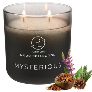 PartyLite Mysteriöser Duft, mit Noten von Zitron, Muskatnuss und Nelke, 400 ml, 2-Docht-Kerze, 24–48 Stunden Brenndauer, Teil der Mood-Kollektion, warm und erdig, perfekt zum Verschenken