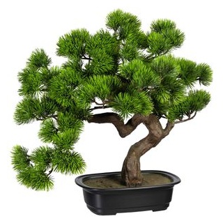 Creativ-green Kunstpflanze Höhe 40 cm, Bonsai Kiefer, in Schale