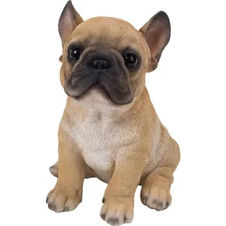 Dehner Dekofigur Französische Bulldogge Welpe 18 cm Hellbraun/Beige