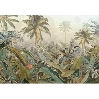 Komar Fototapete Vlies Amazonia 368 cm x 248 cm