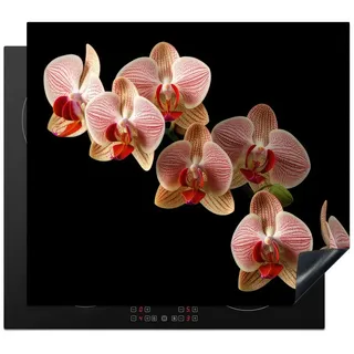 MuchoWow Herd-Abdeckplatte Blumen - Orchidee - Rosa - Botanisch - Natur, Vinyl, (1 tlg), Ceranfeldabdeckung Küche, Herdabdeckplatte Einteilig, 60x52 cm bunt 60 cm x 52 cm x 0.2 cm