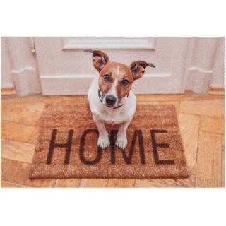 Astra Sauberlaufmatte Deco Print 40 x 60 cm Hund Home