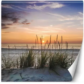 Feeby Fototapete XXL Sand Gras Meer 200x200 cm Orange Vliestapete Moderne Design Wandtapete Küche Flur Wohnzimmer Büro Badezimmer Kinderzimmer Strand Sonnenuntergang