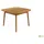 TWIG 100 x x 130