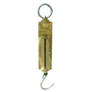 BGS Do it yourself Taschenfederwaage bis 50 kg