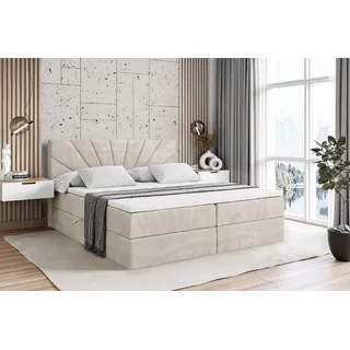 altdecor Miltio 200 x 200 cm H4 Creme