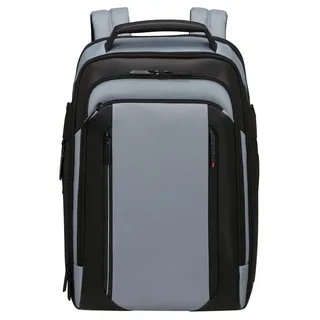 Samsonite SPECTROLITE 4.0 grau