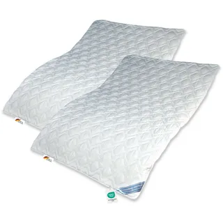 OEKO-TEX 2 Stück Wildseide Seide Baumwolle Sommerbett Sommer Bettdecke 135x200