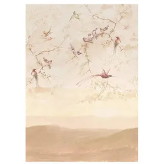 Xora Fototapete, Taupe, Pink, Kunststoff, Papier, Vogel, 200x280 cm, Fsc, Bsci, Made in EU, Tapeten & Wandverkleidungen, Fototapeten