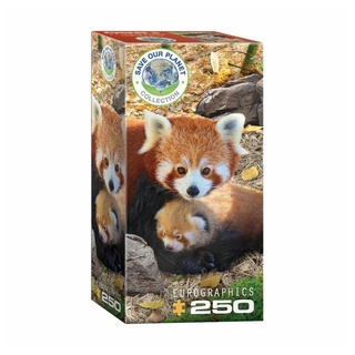 EUROGRAPHICS Puzzle Rote Pandas, 250 Puzzleteile bunt