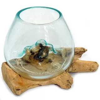 Wurzel mit Glasvase Rund Ø ca.11-12 cm Glas Kugelvase Vase auf Holz Wurzelholz (Wurzel 15-20 cm) Braun