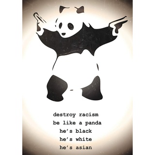 Destroy Racism Panda - Banksy Poster Kleinformat Plakat 39,5 x 55 cm
