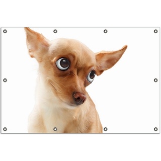 Wallario Sichtschutzzaunmatten Lustiger Hund mit fliegenden Ohren braun 80 cm x 120 cm