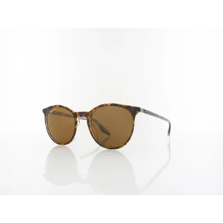 Ray Ban RB2204 139357 51 havana on transparent / polar brown