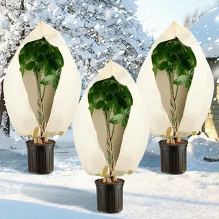 Sonnewelt 3 Stück Winterschutz für Pflanzen, 250 x 360 cm I mit Reißverschluss & Kordelzug, Frostschutz für Kübelpflanzen Überwinterung und Obstbaum, Reißfest I Beige