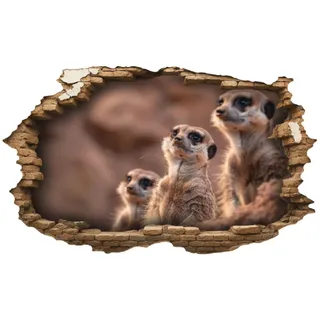Samunshi® Wandtattoo Wandriss mit Erdmännchen Familie Fenster in andere Welt Portal Wanddekoration Wandsticker für Kinderzimmer Wohnzimmer Wanddeko Küche 30x18cm