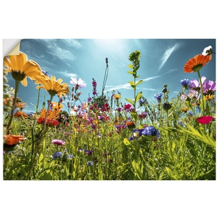 ARTland Wandbild selbstklebend Vinylfolie 90x60 cm Blumenbilder Blumenwiese Blüten Frühling Blumen Bunt U2KS
