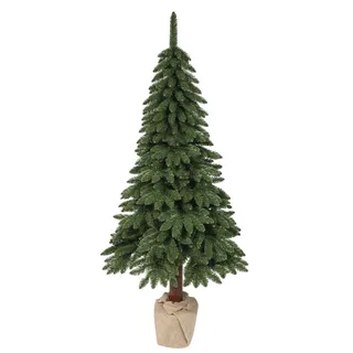 Everlands Tannenbaum Kiefer Tora - H ca. 210,00